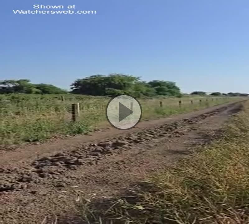 Train Flashing