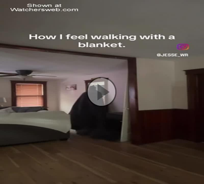 Walking With A Blanket