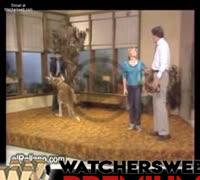 Interview With A Kangaroo