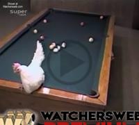 Best Pool Shot By Naked White Chick