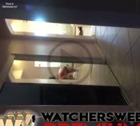 Wife Blow Drying Her Hair