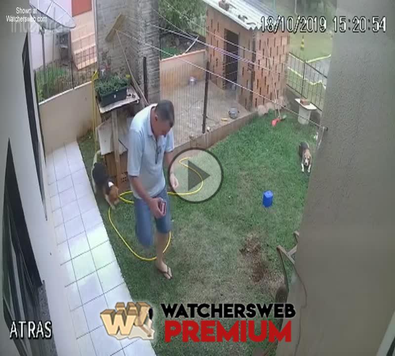 Clearing Out Gophers