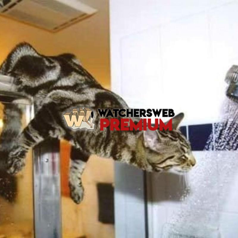 Why God Made Pets #12 - p - Stumper - Canada