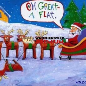 Santa's Flat - c - Tom - BC, Canada