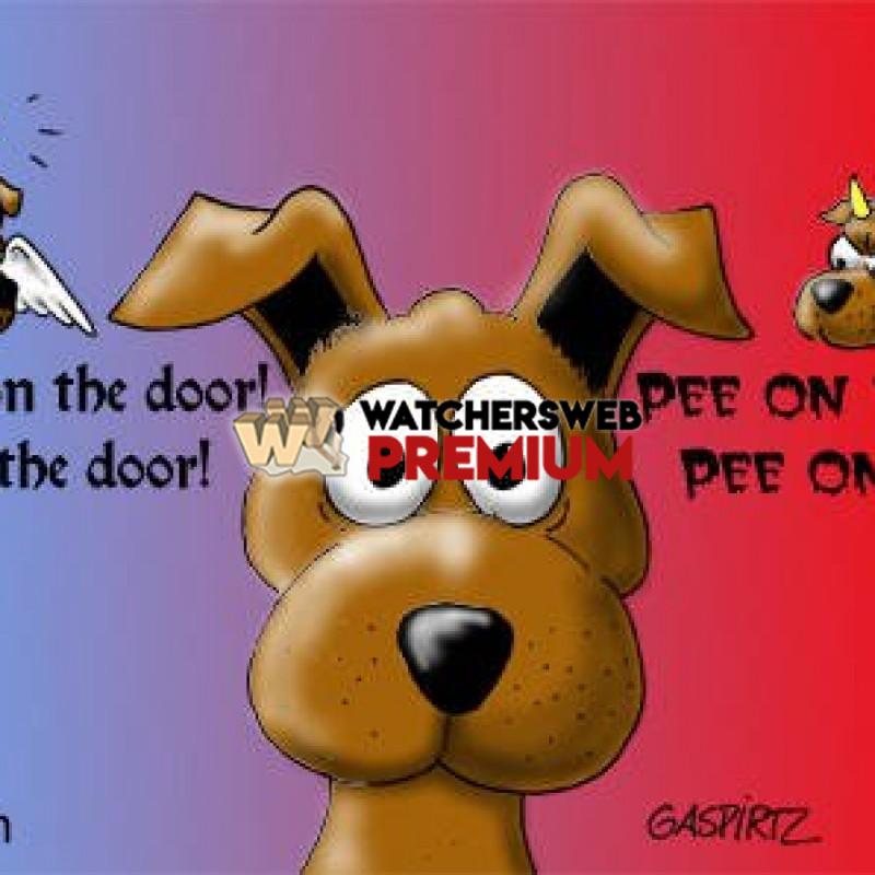 Good Or Evil - c - Stumper - Canada