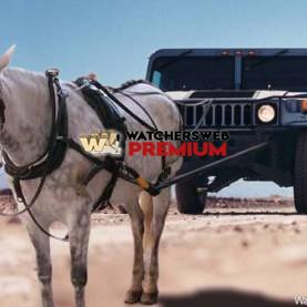 Rising Fuel Costs #2 - Stumper - Canada