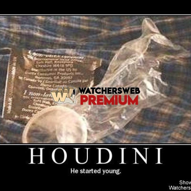 Houdini - p - Eric - Canada