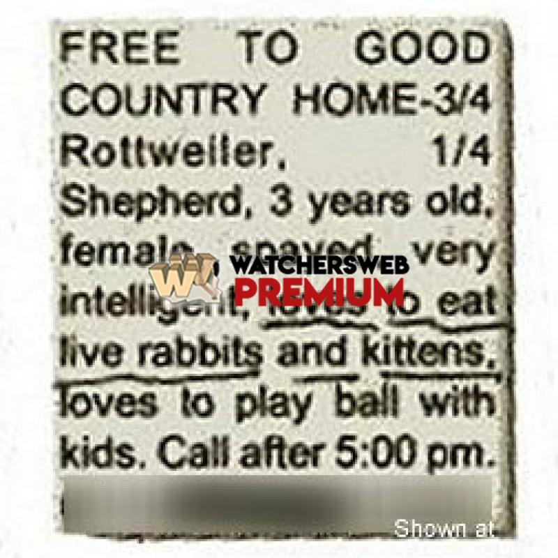 Free To Good Country Home - p - Alf
