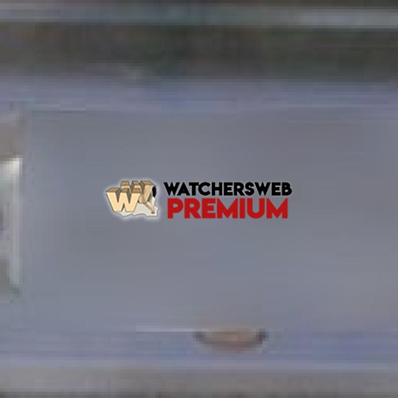 SC Cocks - p - Geoff - USA