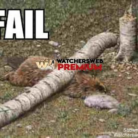 Failure #3 - p - Stumper - Canada