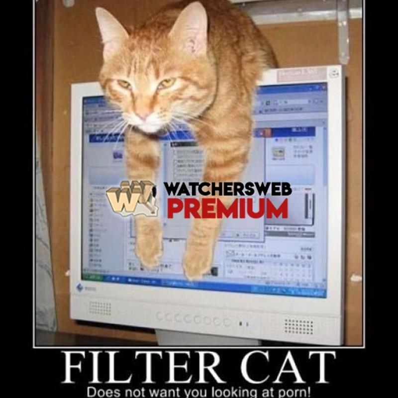 Filter Cat - p - Candylea
