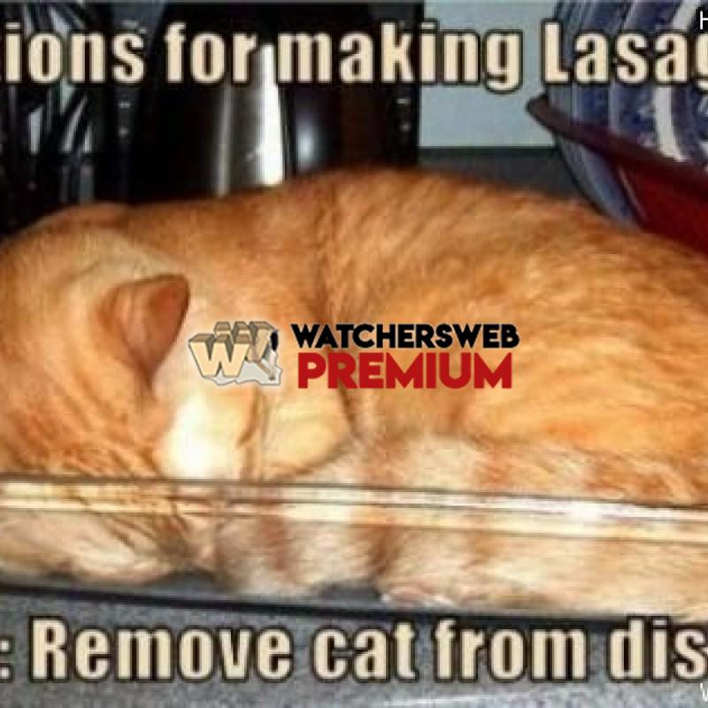 Lasagna Directions - p - Candylea