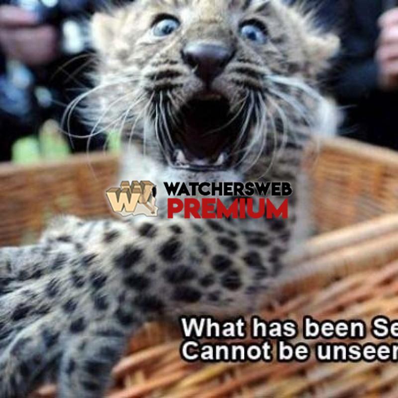 What Has Been Seen - p - Candylea