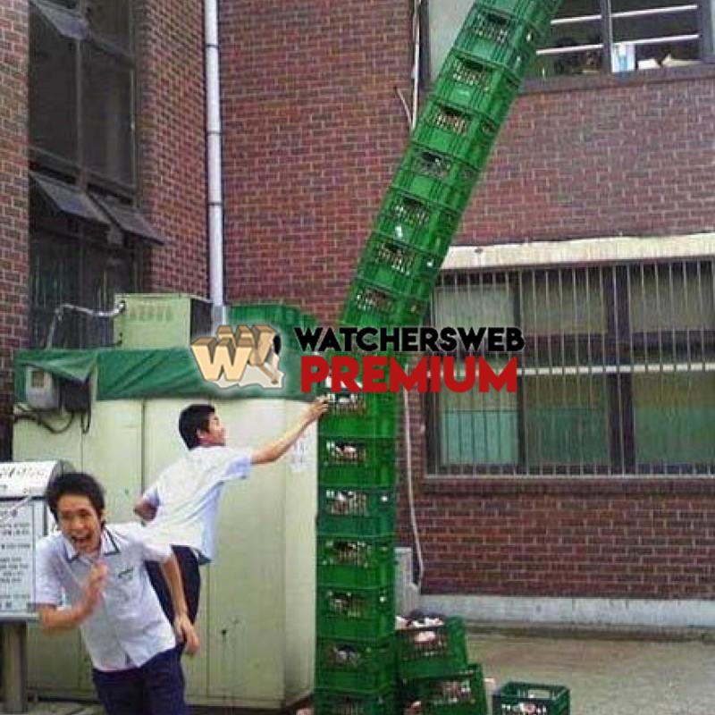 Perfect Timed Pics #8 - p - Tom - Canada