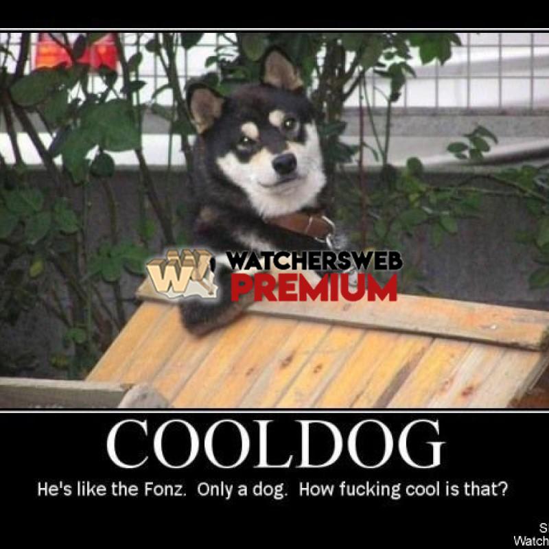 Cool Dog - p - Candylea