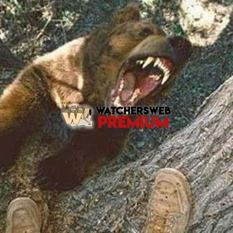 Oh S**t #8 - p - Tom - Canada