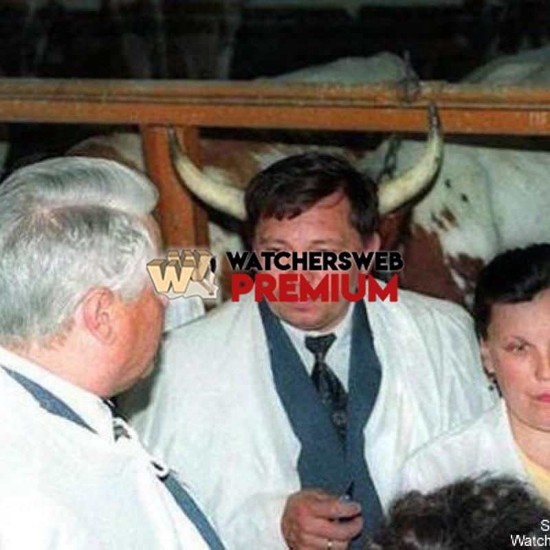 Perfect Timed Pics #1 - p - Tom - Canada