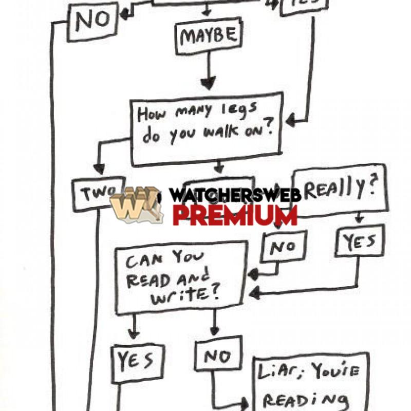 Am I A Horse - c - Jermaine