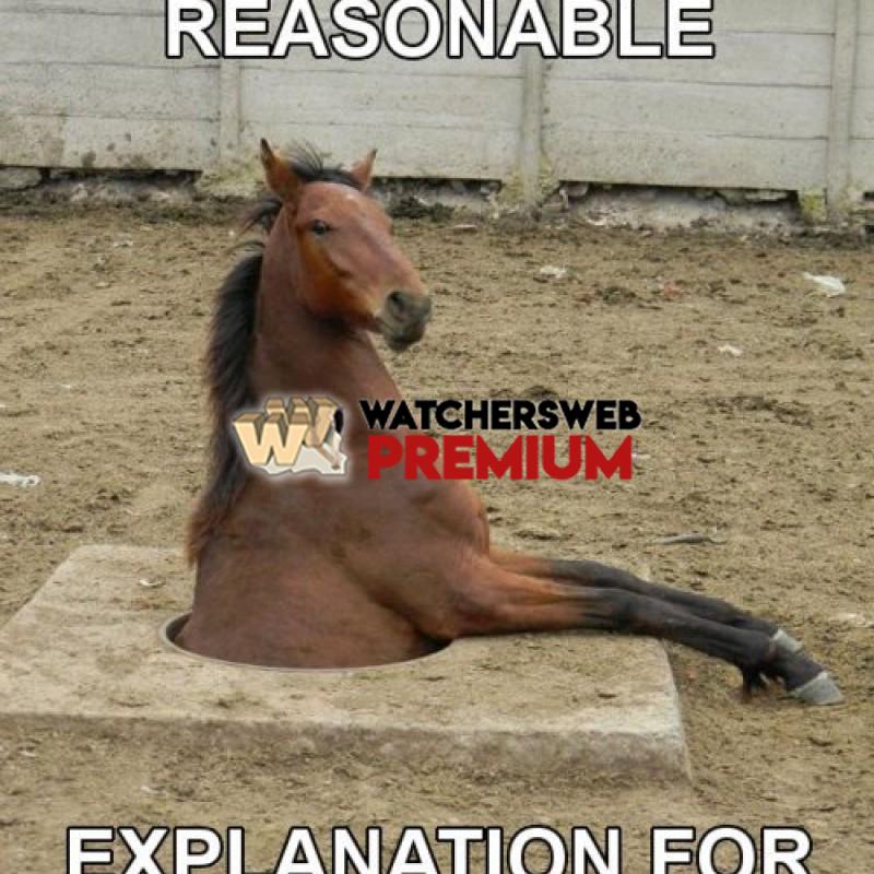 Reasonable Explanation - p - Jermaine