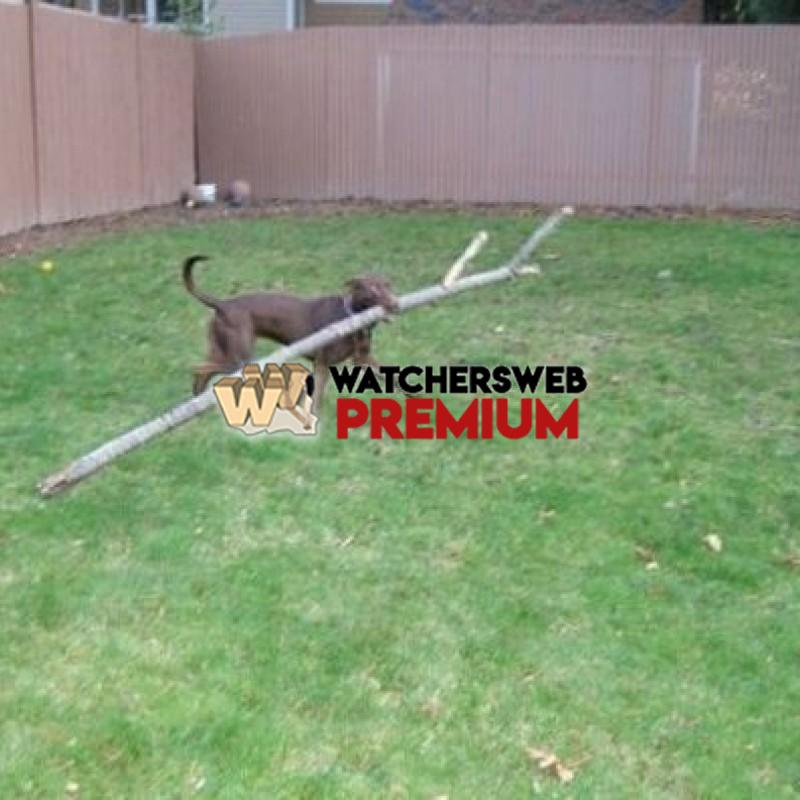 Fetch - p - Jermaine