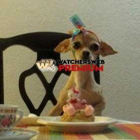 It's My Birthday - p - Jermaine