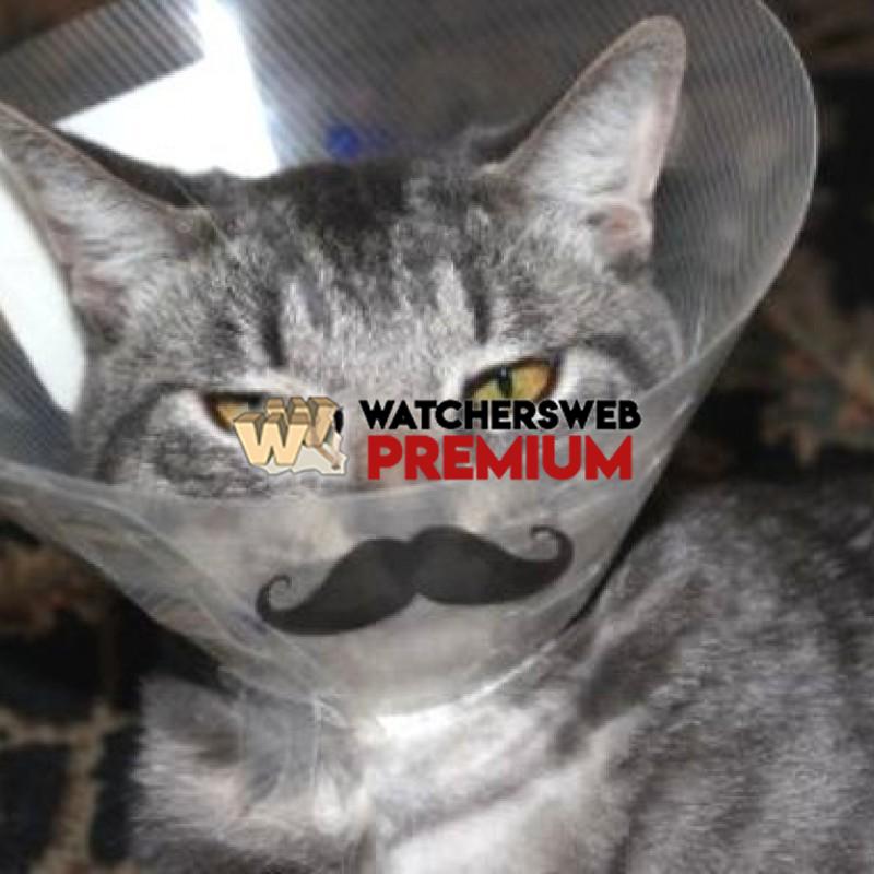 Nice Mustache - p - Jermaine