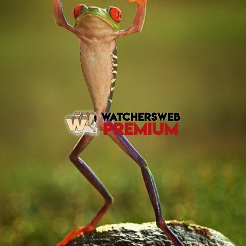 Up Yours - p - Jermaine