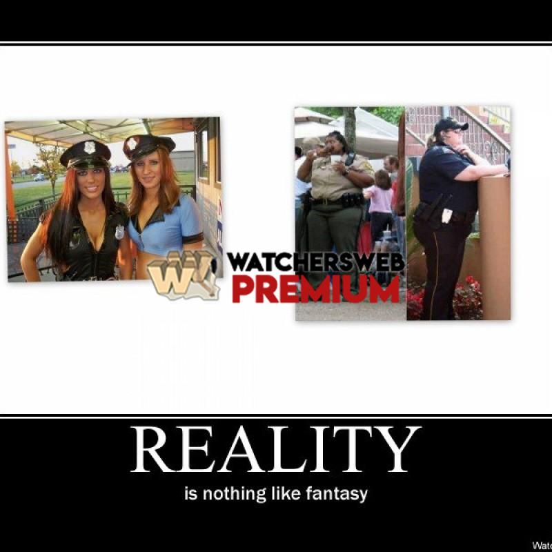 Reality! - p - Stone - Holland