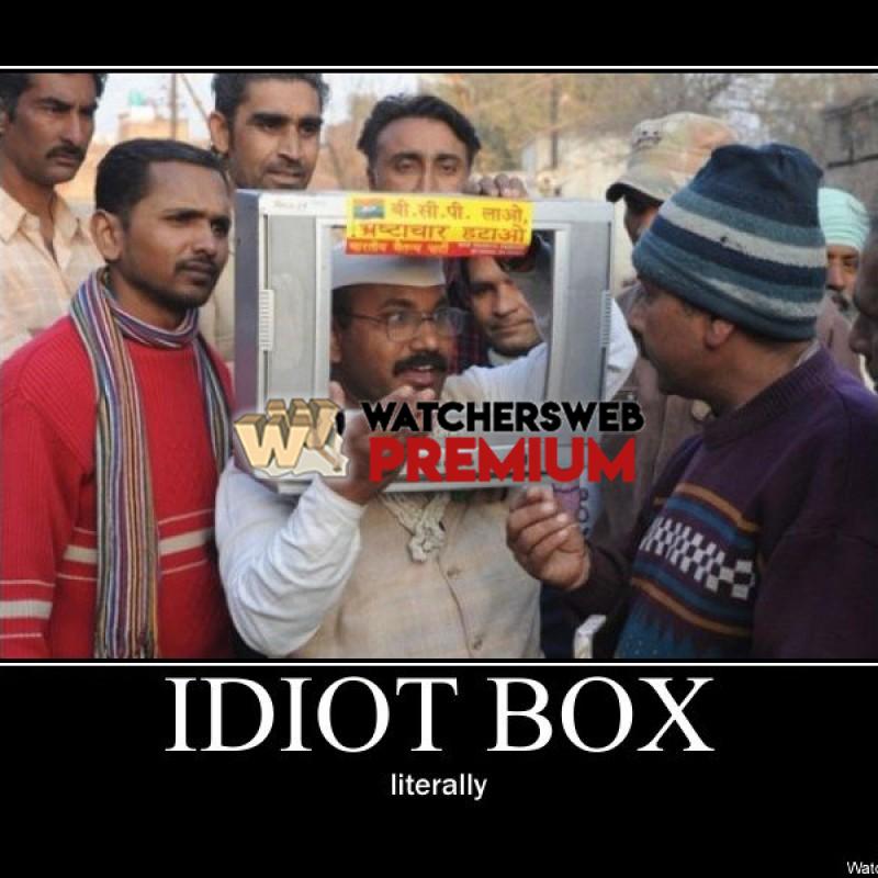 Idiot Box - p - Stone - Holland