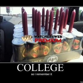 It's How I Remember College - p - Stone - Holland