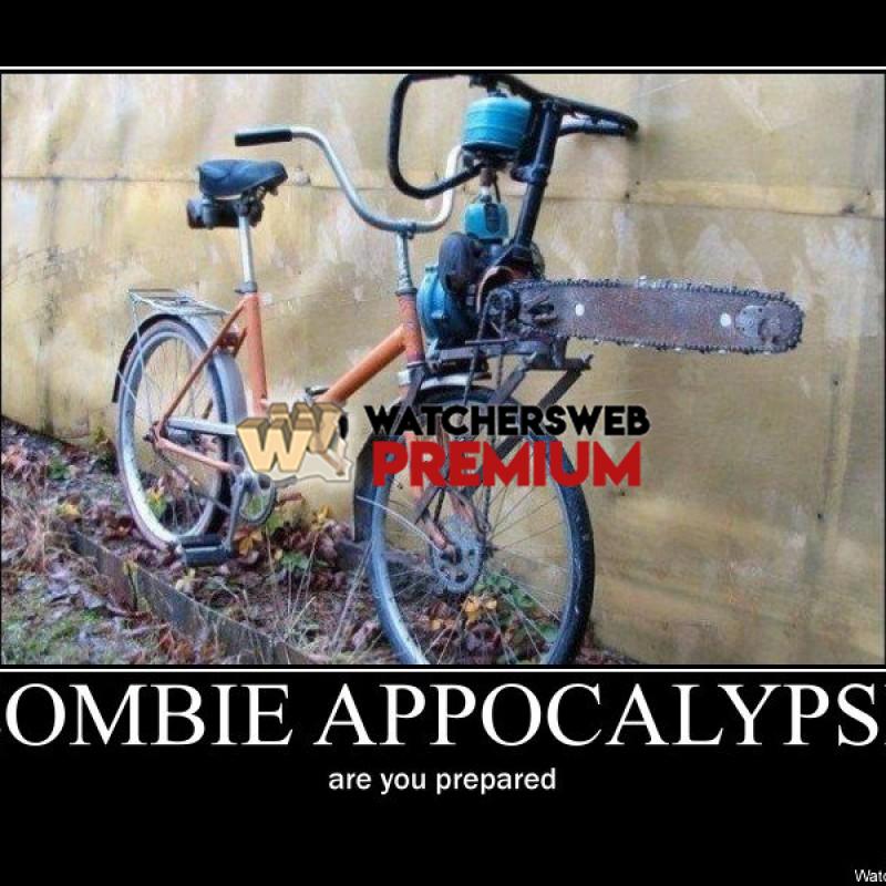 Zombie Apocalypse - p - Stone - Holland