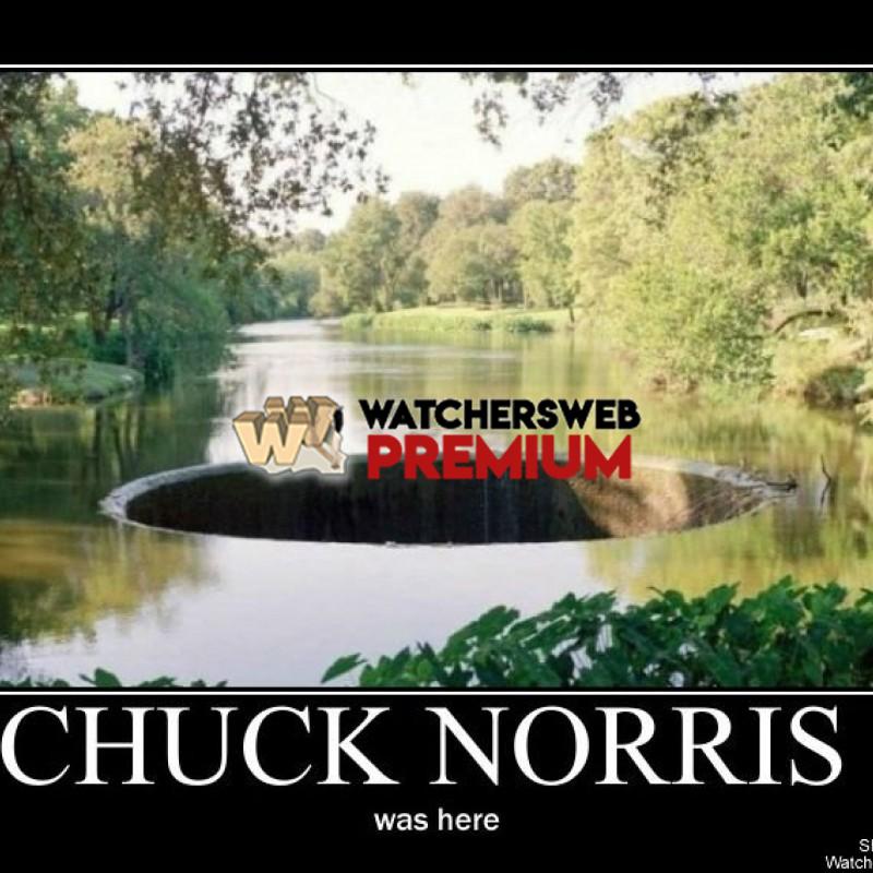 Chuck Norris - p - Stone - Holland