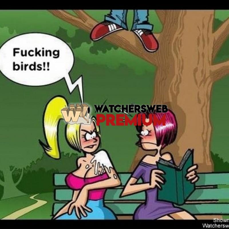 Damn Birds - c - Jermaine