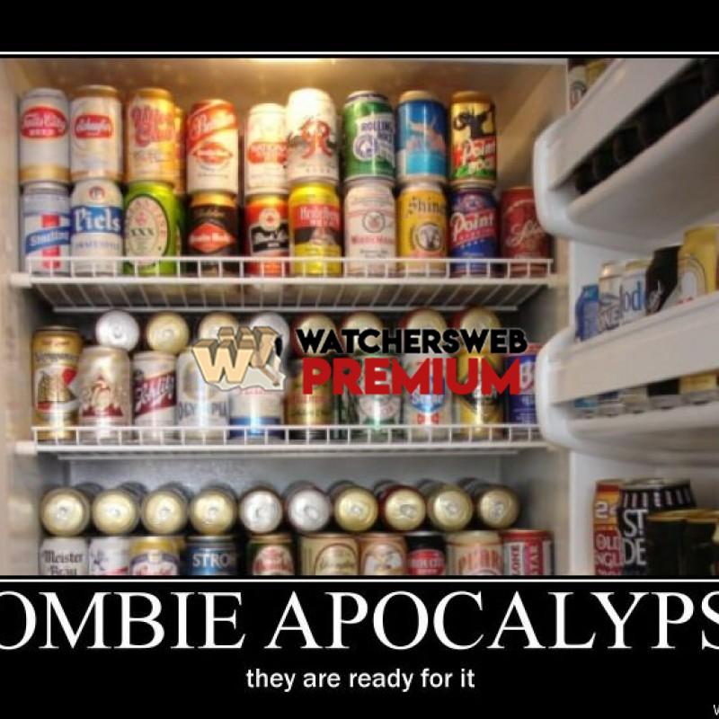 Zombie Apocalypse 2 - p - Stone - Holland