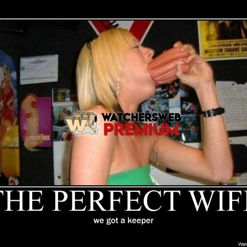 The Perfect Wife! - p - Stone - Holland
