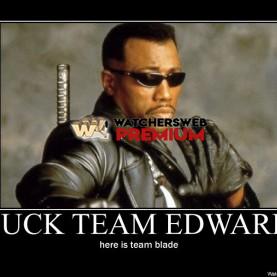 F**k Team Edward - p - Stone - Holland