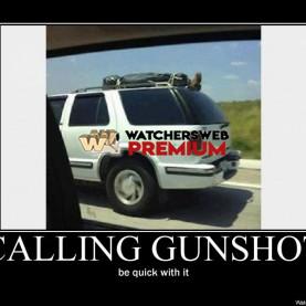 Calling Gunshot - p - Stone - Holland