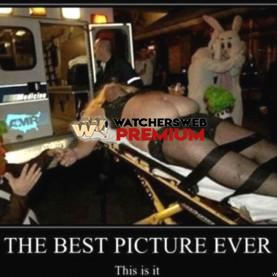 Best Picture Ever? - p - Ray - QLD, Australia