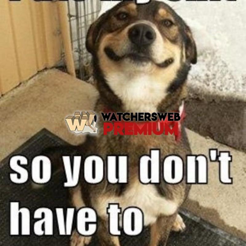 Nice Dog - p - Jermaine