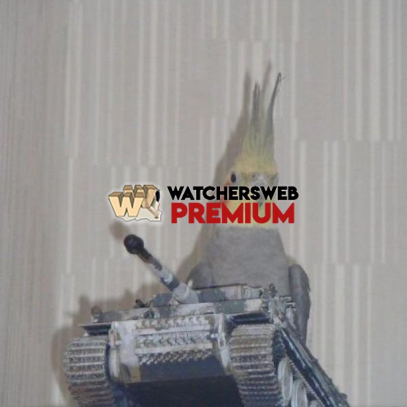 Tank Bird - p - Jermaine