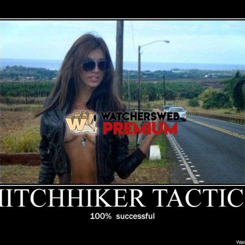Hitch Hiker's Tactics - p - Stone - Holland
