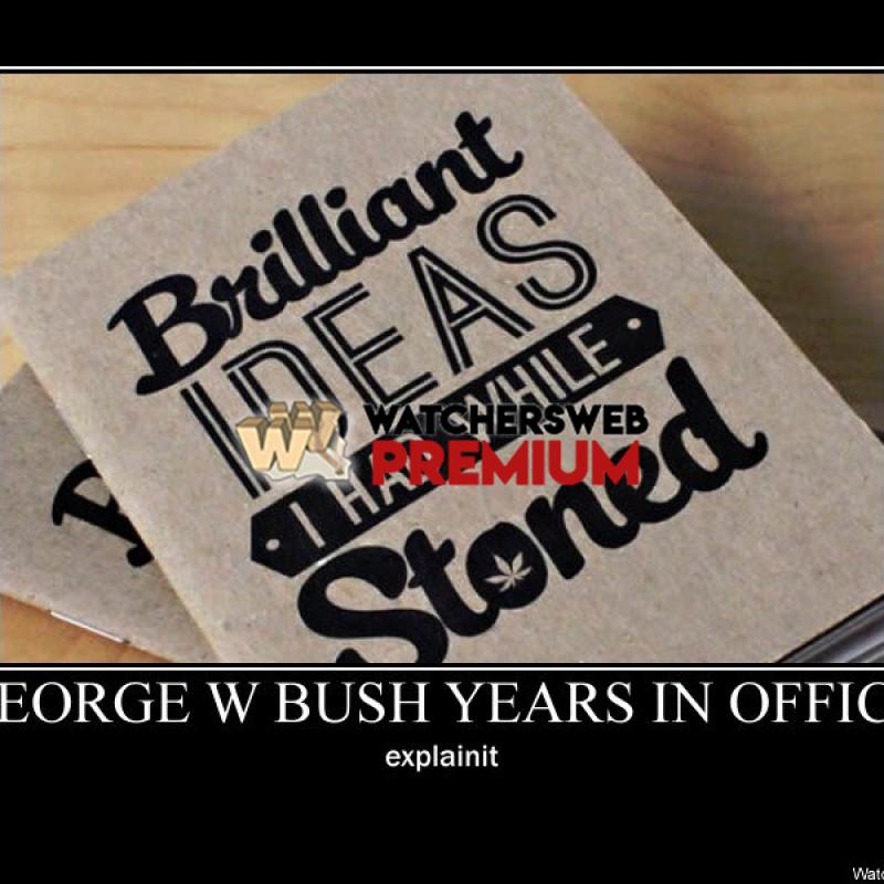 George Bush's Years In Office - p - Stone - Holland