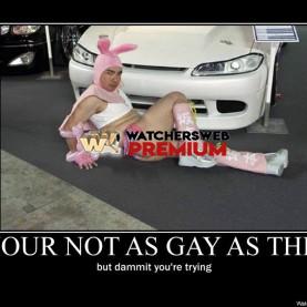 You're Not As Gay - p - Stone - Holland