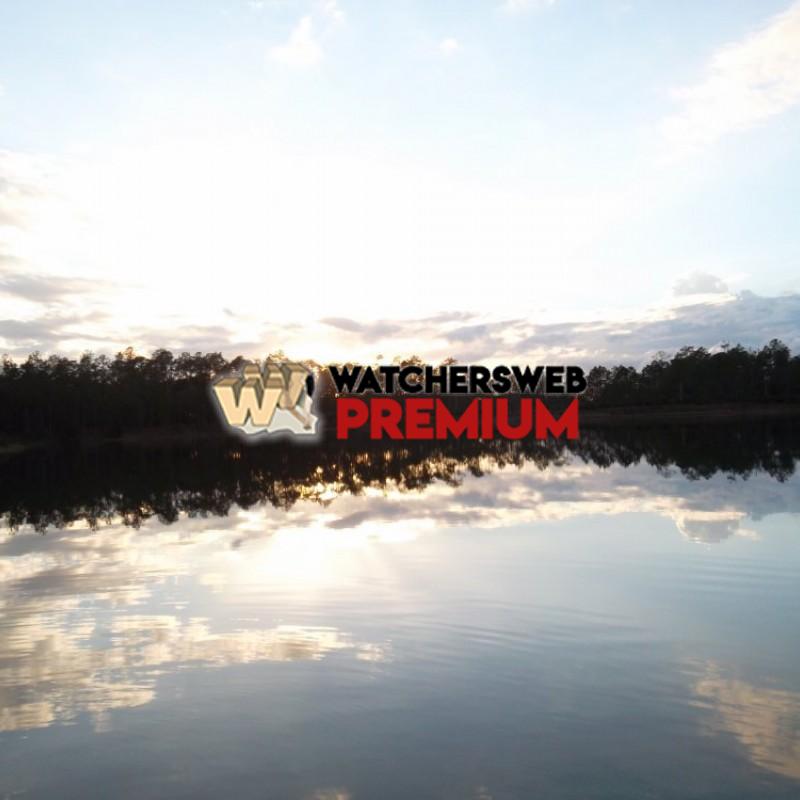 A Florida Winter - Florida, USA