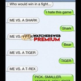 Dog Texting Owner #17 - c - Don - Australia