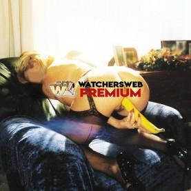 Grandma's Yellow Toy - Southern California, USA