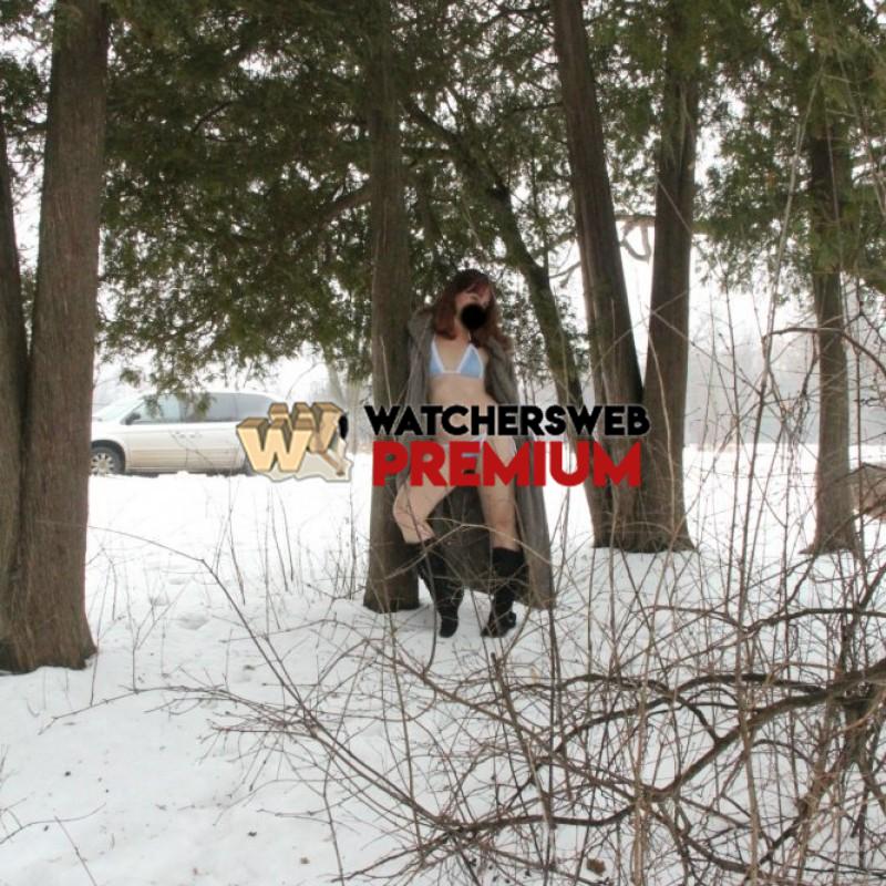 Tesa Dreams Of Summer - For Jeff Owl - Illinois, USA