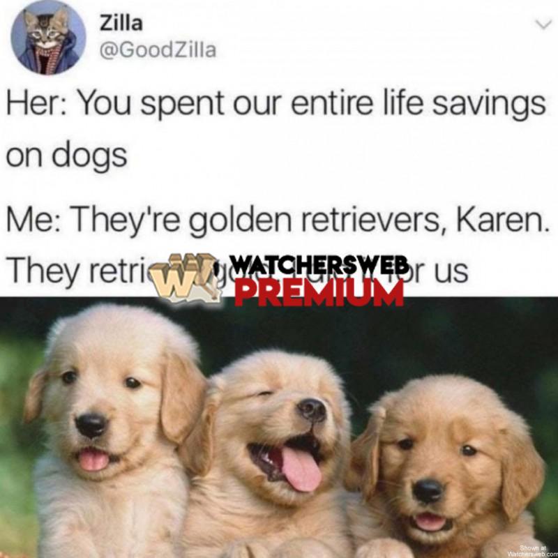 They Retrieve Gold - p - Monique, QLD - Australia