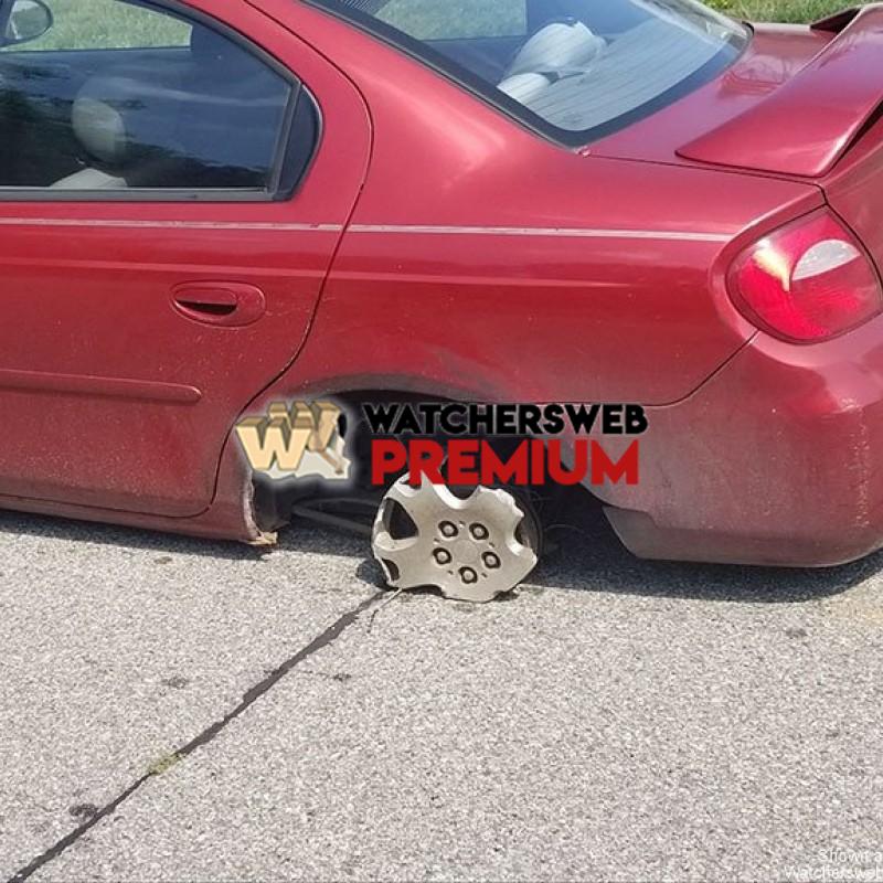 But How - p - Monique, QLD - Australia