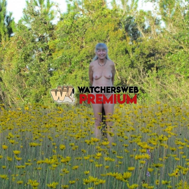 Field Of Brown Eyed Susans - Mississippi, Gulf Coast, USA